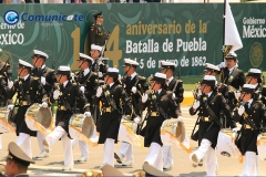 MG_4909