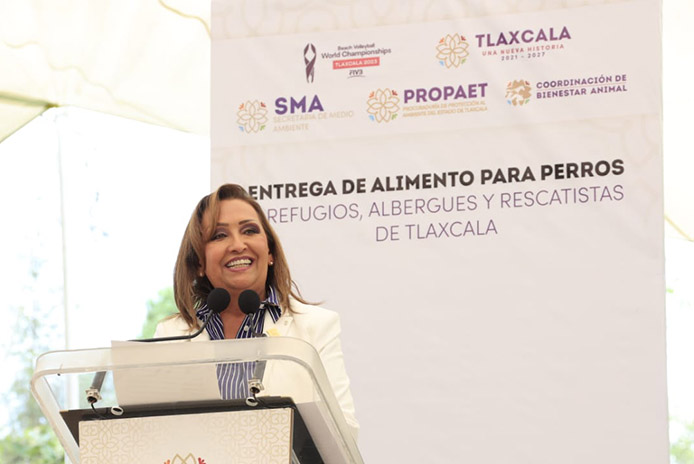 DOMINGO 27 DE AGOSTO 2023 5