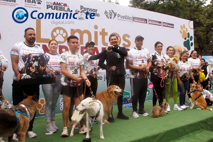 20 JULIO 2025 DOMINGO 3