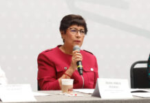 Revista Vehicular ofrece descuentos de hasta 34 mil pesos para transportistas: Silvia Tanús