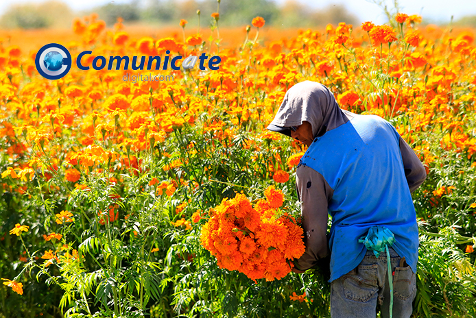 29 OCTUBRE 2025 MIERCOLES 17