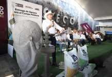 En el Seco, gobierno estatal impulsa riqueza comunitaria con obra y apoyos al campo