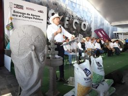 En el Seco, gobierno estatal impulsa riqueza comunitaria con obra y apoyos al campo
