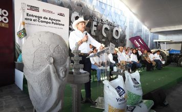 En el Seco, gobierno estatal impulsa riqueza comunitaria con obra y apoyos al campo