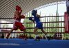 Gobierno de Pepe Chedraui desarrolla la sexta y séptima función del Torneo de Barrios de Box 2026