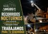En Amozoc colocan luminarias nuevas y reparan otras para brindar mayor seguridad