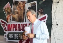 Pepe Chedraui acerca servicios gratuitos de bienestar animal a San Pablo Xochimehuacan