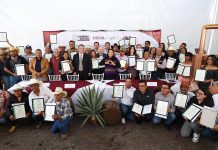Puebla consolida liderazgo nacional en producción de mezcal con 91 medallas
