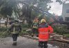 Gobierno de Pepe Chedraui atiende incidencias por lluvias y vientos