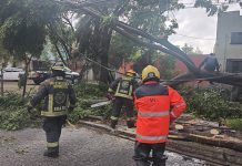 Gobierno de Pepe Chedraui atiende incidencias por lluvias y vientos