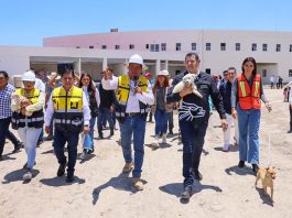 Consolida gobierno del estado centro pionero para protección de seres sintientes