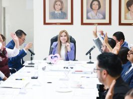 SEDIF fortalece procesos de adopción y acogimiento familiar en beneficio de la niñez poblana