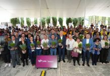Avanza Pepe Chedraui en la recuperación de áreas verdes con “Raíces del Futuro”