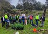 Se suma por Una Causa Verde a las actividades de reforestación