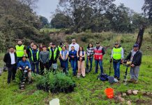 Se suma por Una Causa Verde a las actividades de reforestación