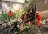 Refuerza Gobierno de Pepe Chedraui acciones preventivas ante la temporada de lluvias en Romero Vargas