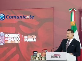 Con inteligencia y estrategia, gobierno estatal desmantela producción de estupefacientes en Sierra Norte