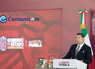 Con inteligencia y estrategia, gobierno estatal desmantela producción de estupefacientes en Sierra Norte
