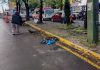 Interviene gobierno de Pepe Chedraui más de 16 millones de metros cuadrados de camellones