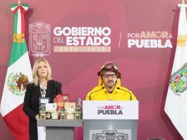 Gobierno estatal reduce 55% la superficie afectada por incendios forestales