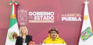 Gobierno estatal reduce 55% la superficie afectada por incendios forestales