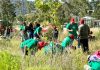 Impulsa Gobierno de Pepe Chedraui restauración del Cerro de Amalucan con “Raíces del Futuro”