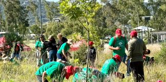 Impulsa Gobierno de Pepe Chedraui restauración del Cerro de Amalucan con “Raíces del Futuro”
