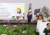 Desde Puebla, la presidenta Claudia Sheinbaum arrancará la Jornada Nacional de Reforestación