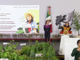 Desde Puebla, la presidenta Claudia Sheinbaum arrancará la Jornada Nacional de Reforestación