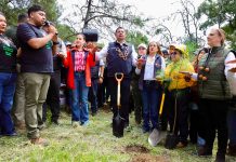 Gobierno estatal siembra futuro con bosques y agua limpia para las próximas generaciones