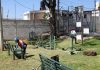Realiza Lupita Cuautle jornada de reforestación en San Antonio Cacalotepec