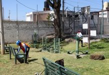 Realiza Lupita Cuautle jornada de reforestación en San Antonio Cacalotepec