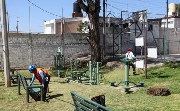 Realiza Lupita Cuautle jornada de reforestación en San Antonio Cacalotepec