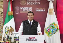 Agave poblano consolida liderazgo agroindustrial de Puebla en mercados mundiales