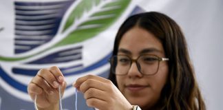 Estudiantes BUAP crean biohilos a base de sargazo
