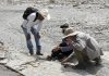 Investigadores BUAP registran nuevas huellas de dinosaurio en Puebla