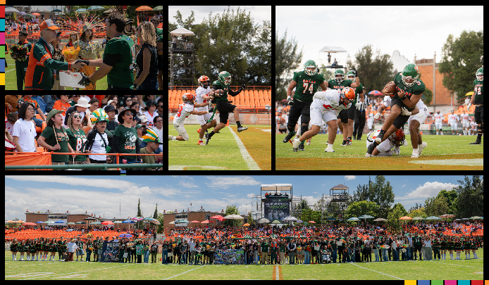 Foto Boletin 339-1