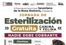 Amozoc fortalece la salud pública y el bienestar animal con Jornadas Gratuitas de Esterilización Canina y Felina