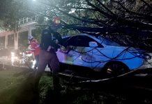 Desplega Gobierno de Pepe Chedraui acciones y atención inmediata a reportes por lluvias