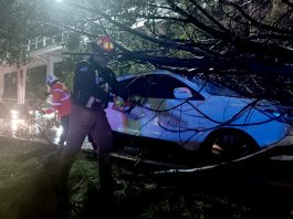 Desplega Gobierno de Pepe Chedraui acciones y atención inmediata a reportes por lluvias