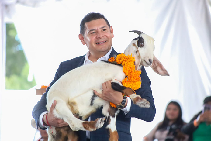 MOLE CADERAS 2026 1