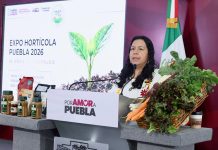 Innovación, tecnología y vinculación estatal para productores hortícolas fortalecen el campo