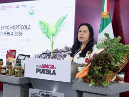 Innovación, tecnología y vinculación estatal para productores hortícolas fortalecen el campo