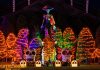 Catrilandia 2026: un parque lleno de encanto y tradición del Día de Muertos