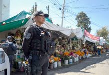 Autoridades federales, estatales y municipales refuerzan vigilancia ante actividades de Día de Muertos 2026